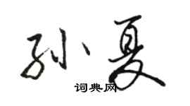 骆恒光孙夏行书个性签名怎么写