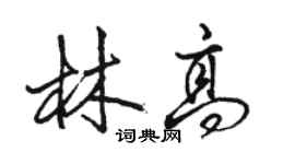 骆恒光林高行书个性签名怎么写