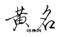 骆恒光黄名行书个性签名怎么写