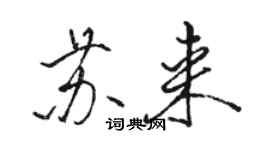 骆恒光苏来行书个性签名怎么写