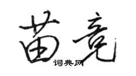 骆恒光苗竞行书个性签名怎么写