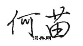 骆恒光何苗行书个性签名怎么写
