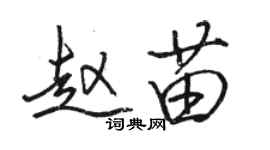 骆恒光赵苗行书个性签名怎么写