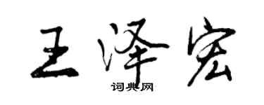 曾庆福王泽宏行书个性签名怎么写