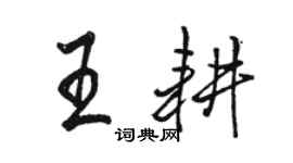 骆恒光王耕行书个性签名怎么写