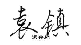 骆恒光袁镇行书个性签名怎么写