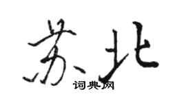 骆恒光苏北行书个性签名怎么写