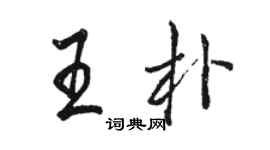 骆恒光王朴行书个性签名怎么写