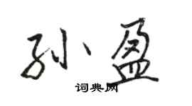 骆恒光孙盈行书个性签名怎么写