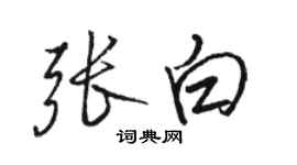 骆恒光张白行书个性签名怎么写