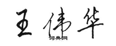 骆恒光王伟华行书个性签名怎么写