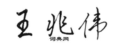 骆恒光王兆伟行书个性签名怎么写