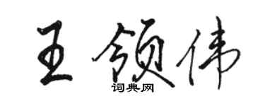 骆恒光王领伟行书个性签名怎么写