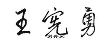 骆恒光王宪勇行书个性签名怎么写