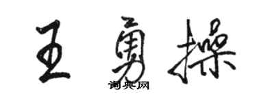 骆恒光王勇操行书个性签名怎么写