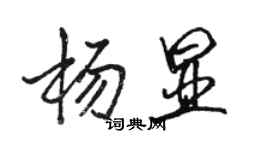 骆恒光杨显行书个性签名怎么写