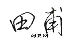 骆恒光田甫行书个性签名怎么写