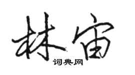骆恒光林宙行书个性签名怎么写