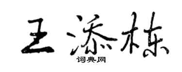 曾庆福王添栋行书个性签名怎么写
