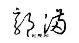 梁锦英郭满草书个性签名怎么写