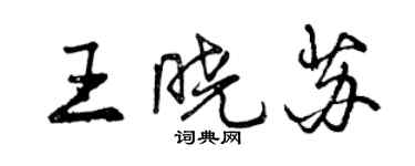 曾庆福王晓苏行书个性签名怎么写