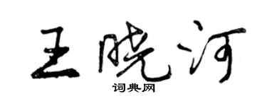 曾庆福王晓河行书个性签名怎么写