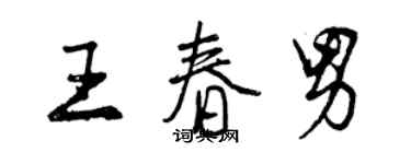 曾庆福王春男行书个性签名怎么写