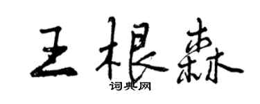 曾庆福王根森行书个性签名怎么写
