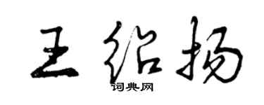 曾庆福王绍扬行书个性签名怎么写