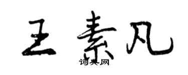 曾庆福王素凡行书个性签名怎么写