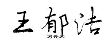 曾庆福王郁洁行书个性签名怎么写