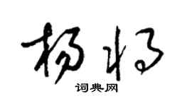 梁锦英杨将草书个性签名怎么写
