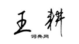 梁锦英王耕草书个性签名怎么写