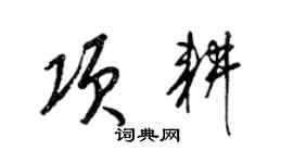 梁锦英项耕草书个性签名怎么写