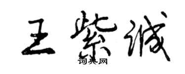 曾庆福王紫诚行书个性签名怎么写