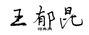 曾庆福王郁昆行书个性签名怎么写
