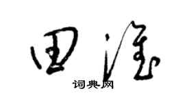 梁锦英田淮草书个性签名怎么写