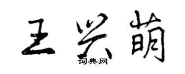 曾庆福王兴萌行书个性签名怎么写
