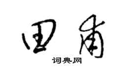 梁锦英田甫草书个性签名怎么写