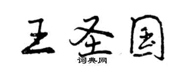 曾庆福王圣国行书个性签名怎么写