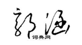 梁锦英郭涵草书个性签名怎么写