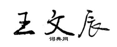 曾庆福王文辰行书个性签名怎么写