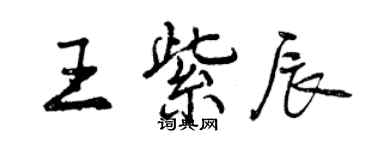 曾庆福王紫辰行书个性签名怎么写