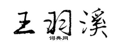 曾庆福王羽溪行书个性签名怎么写