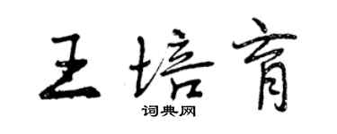 曾庆福王培育行书个性签名怎么写