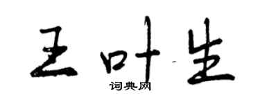 曾庆福王叶生行书个性签名怎么写