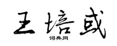 曾庆福王培或行书个性签名怎么写