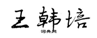 曾庆福王韩培行书个性签名怎么写