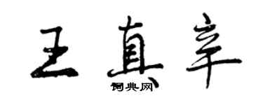 曾庆福王真辛行书个性签名怎么写