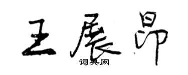 曾庆福王展昂行书个性签名怎么写